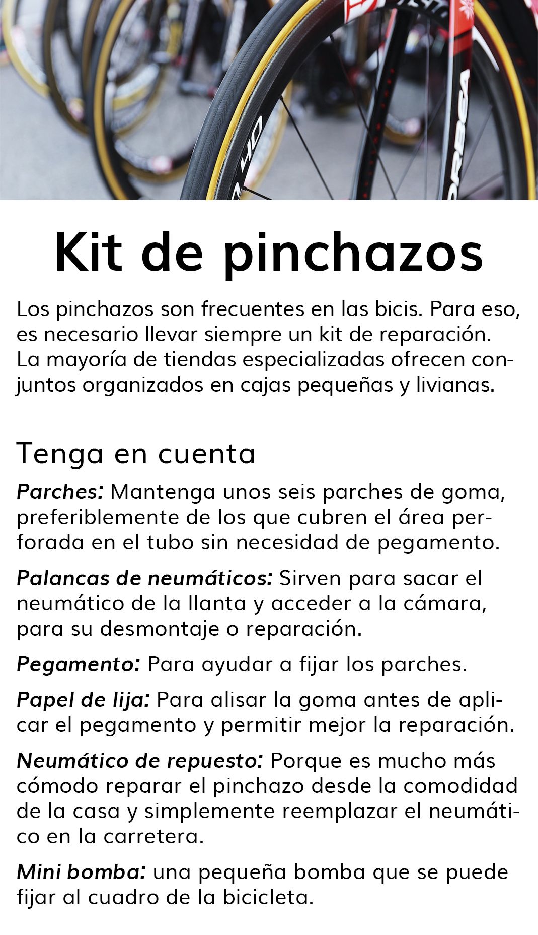 bici2.jpg