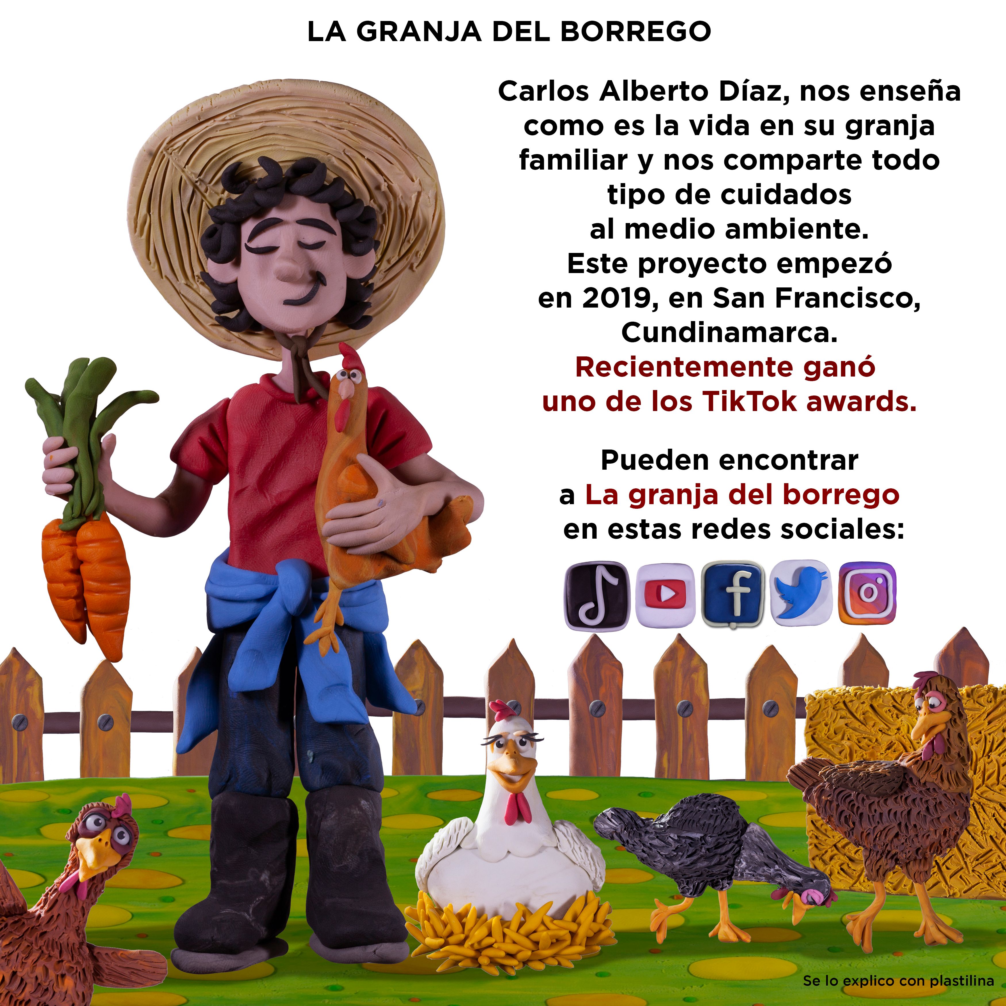 borrego.jpg