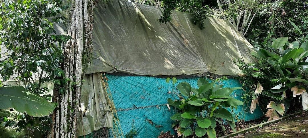 viv-colombia-fundacion-centro-de-primates-fucep-night-monkeys-caged-inside-public-records-request-vs_2_0.jpg